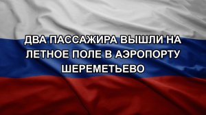 Два пассажира вышли на летное поле в аэропорту Шереметьево