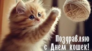 С днём кошек. Самая лучшая музыкальная открытка.
