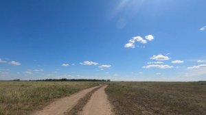Зов свободы. 😊