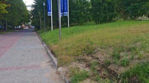 Колобок катится по Москве и новое из экономической жизни еврогномика