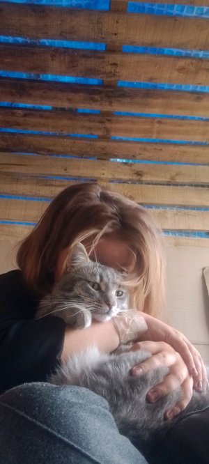 короче