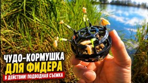 ЧУДО - КОРМУШКА ДЛЯ ФИДЕРА В ДЕЛЕ! Подводная съемка