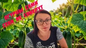 ПОЕХАЛИ ЗА ОГУРЦАМИ 🥒🥒🥒 НЕ ОЖИДАЛИ ТАКОГО УРОЖАЯ 😊