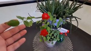 ГЛАВНОЕ СОСТОЯНИЕ✨️КОГДА ВСЁ ПОЛУЧАЕТСЯ С ЛЁГКОСТЬЮ
