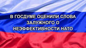 |Н. РФ| В Госдуме оценили слова Залужного о неэффективности НАТО