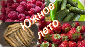 Обзор цен Краснодарский рынок👆Малосольные огурцы 🥒РЕЦЕПТ 🥒 Провесная скумбрия☀️Ответ на коммент☕️