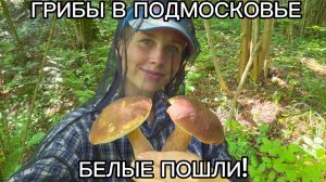 БЕЛЫЕ ГРИБЫ В ПОДМОСКОВЬЕ. Раменский район. БЕЛЫЕ ПОШЛИ!!!