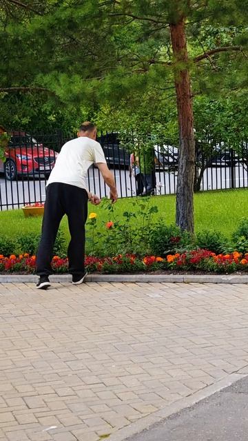Садовник и его сад