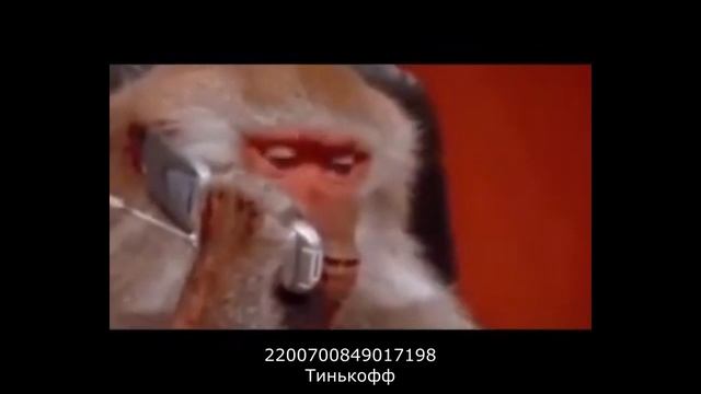 Разговоры с мошенниками