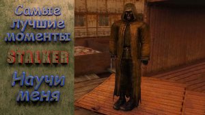 Научи меня. Stalker. Самые лучшие моменты. #stalker