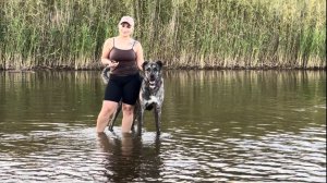 Взял жену с собакой и поехал на речку, хотя думали что в этом году больше не поедим на речку