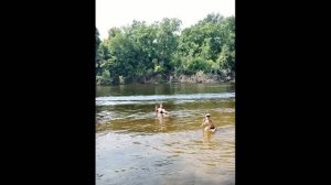 Всё близко