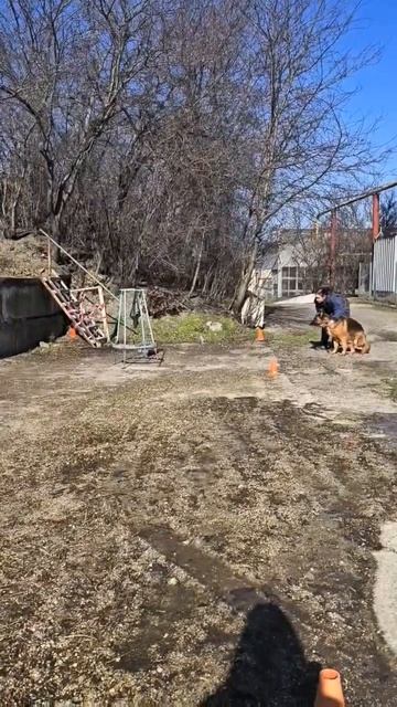 Хедда Каралинг Сильва Кин, Квал. состязания РКФ по ноузворк, Симферополь, 1.03.2026г.. Местность.