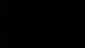 f 15