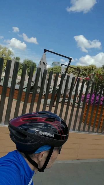 Утреннее настроение 118 / Morning mood 118 ☀️☀️☀️