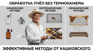 Обработка пчёл без термокамеры: проверенные методы от профессора Кашковского 🐝🛡️