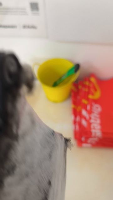 1000094614.mp4