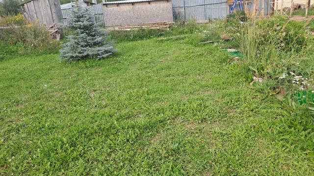 Помощники все сделали
