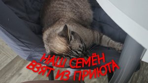 НАШ СЕМЁН ИЗ ПРИЮТА