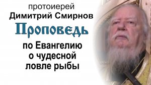 Проповедь по Евангелию о чудесной ловле рыбы (2016.11.12). Протоиерей Димитрий Смирнов