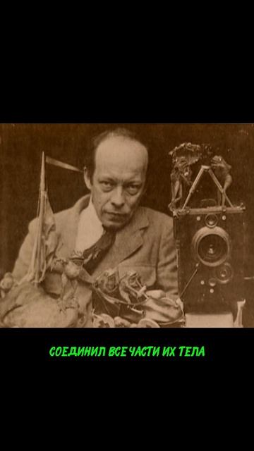 Владислав Старевич #historicalfacts #history #хочуфакты #история #кино #факты #юмор #шортс #top