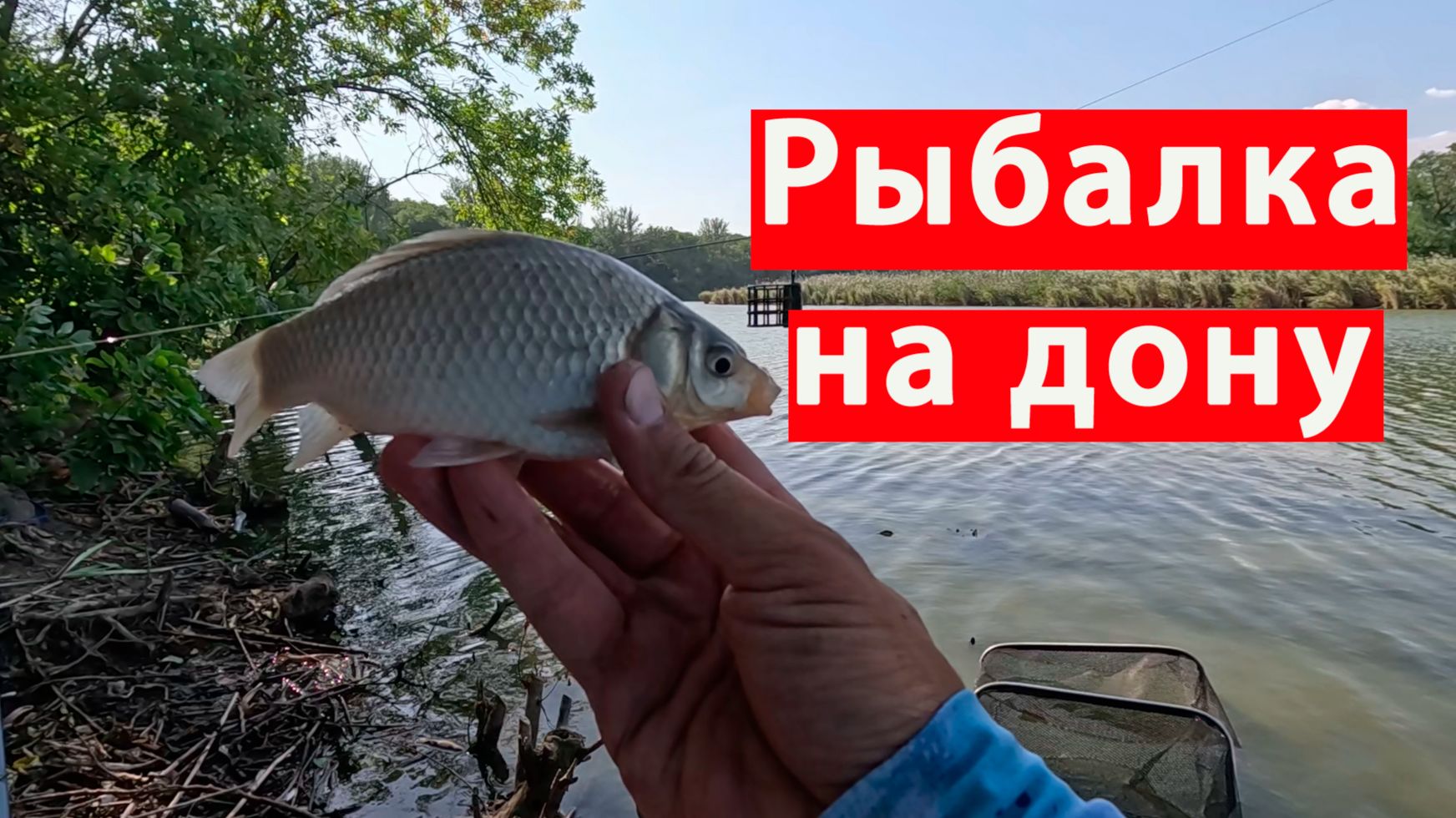Рыбалка на карася, разведал дикую реку где обитает карась