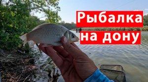 Рыбалка на карася, разведал дикую реку где обитает карась