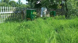 Установка пчелоудалителей на ульи 8 августа 2026 года...