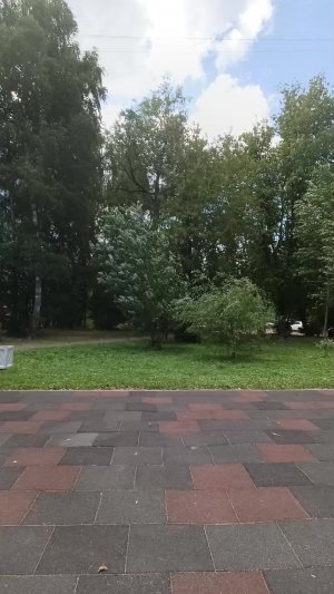 концерт группы jilmi