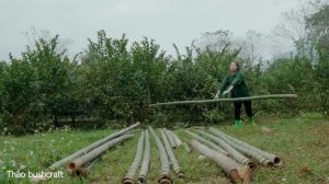 Молодая женщина, живущая  в сельской местности, заготавливает бамбук,чтобы  построить дом.