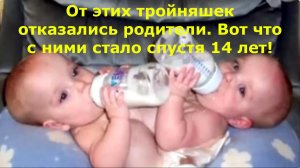 От этих тройняшек отказались родители. Вот что с ними стало спустя 14 лет!