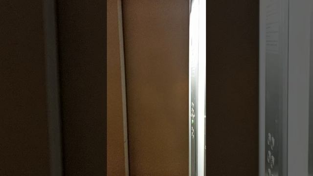 VID_20260808_164042