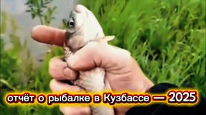 Дневник рыбака: отчёт о рыбалке в Кузбассе — 2025