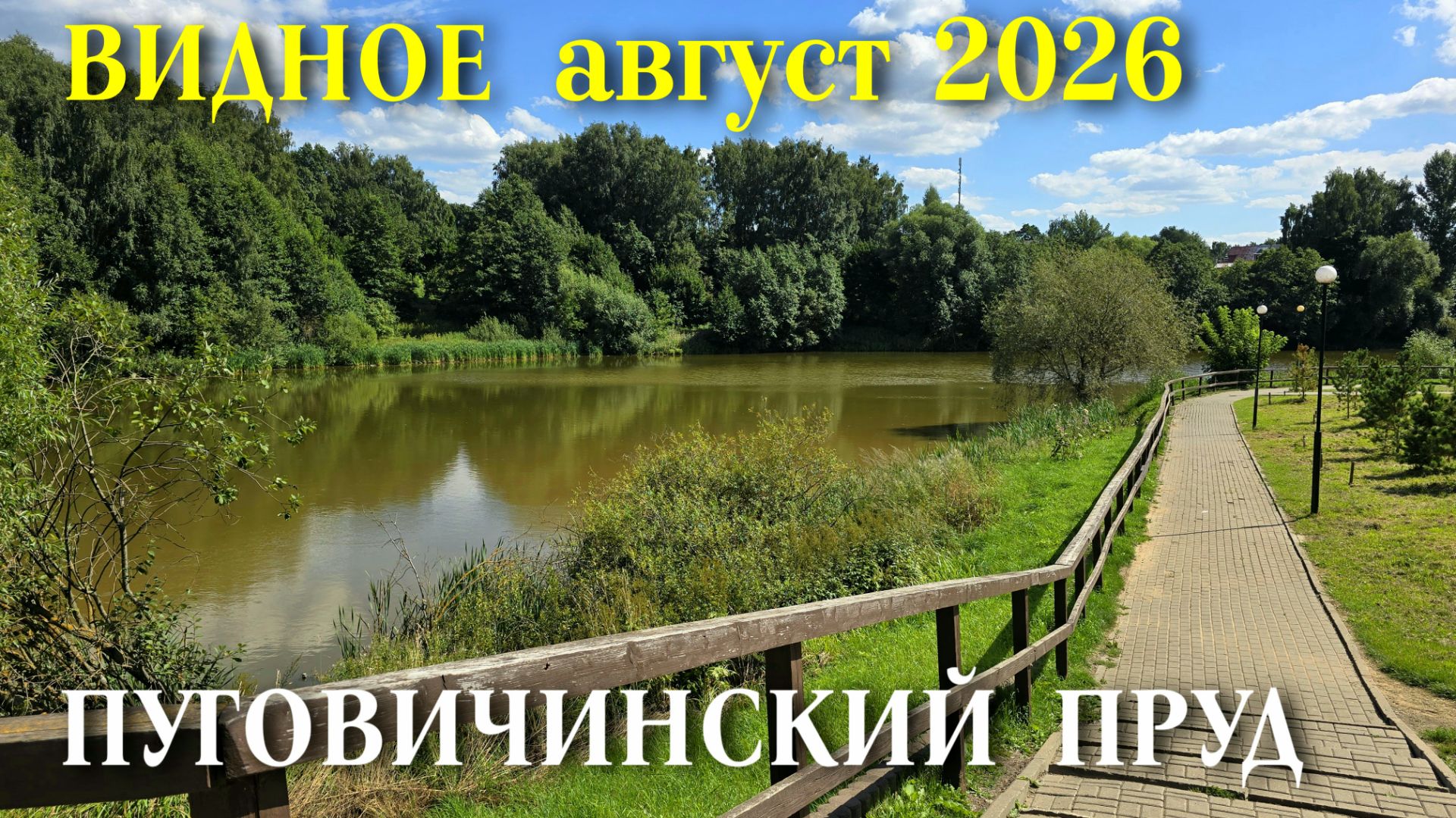 Видное Подмосковье август 2026 исчезнувший Пуговичинский пруд