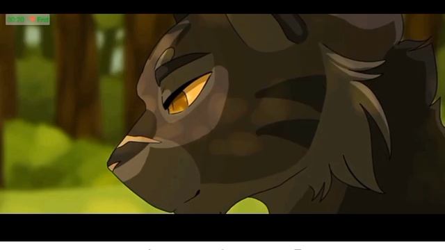 Lv_0_20260805011441.mp4