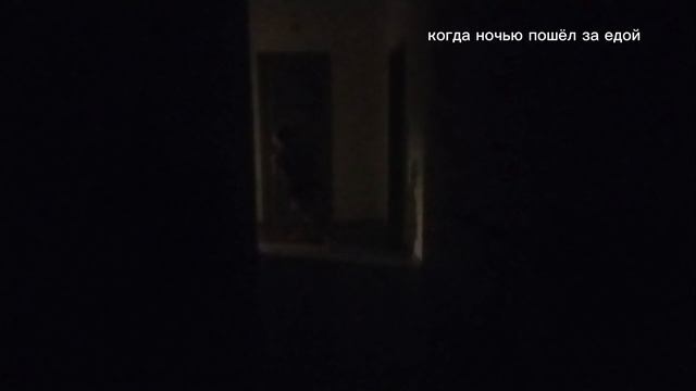когда ночью пошёл за едой