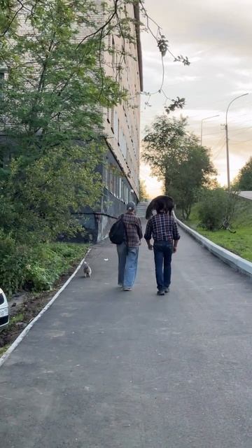 Где - то на улицах Мурманска ../
