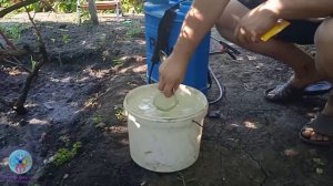 Выпуск 41. 7 августа 2026. Не подмажешь не поедешь, гласит пословица. С виноградом так же. Практика.