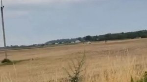 Украинское сафари около Буск во Львовщине. По полю бежит жертва. Менты на автомобиле со всех сторон