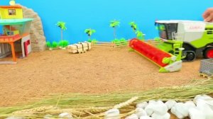 Комбайн Трактор Скорая помощь и другие машинки в игрушечном видео детям