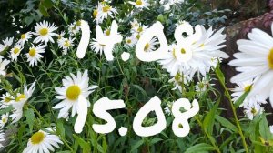 Лунный Календарь для Комнатного Цветовода с10.08-16.08.26г.