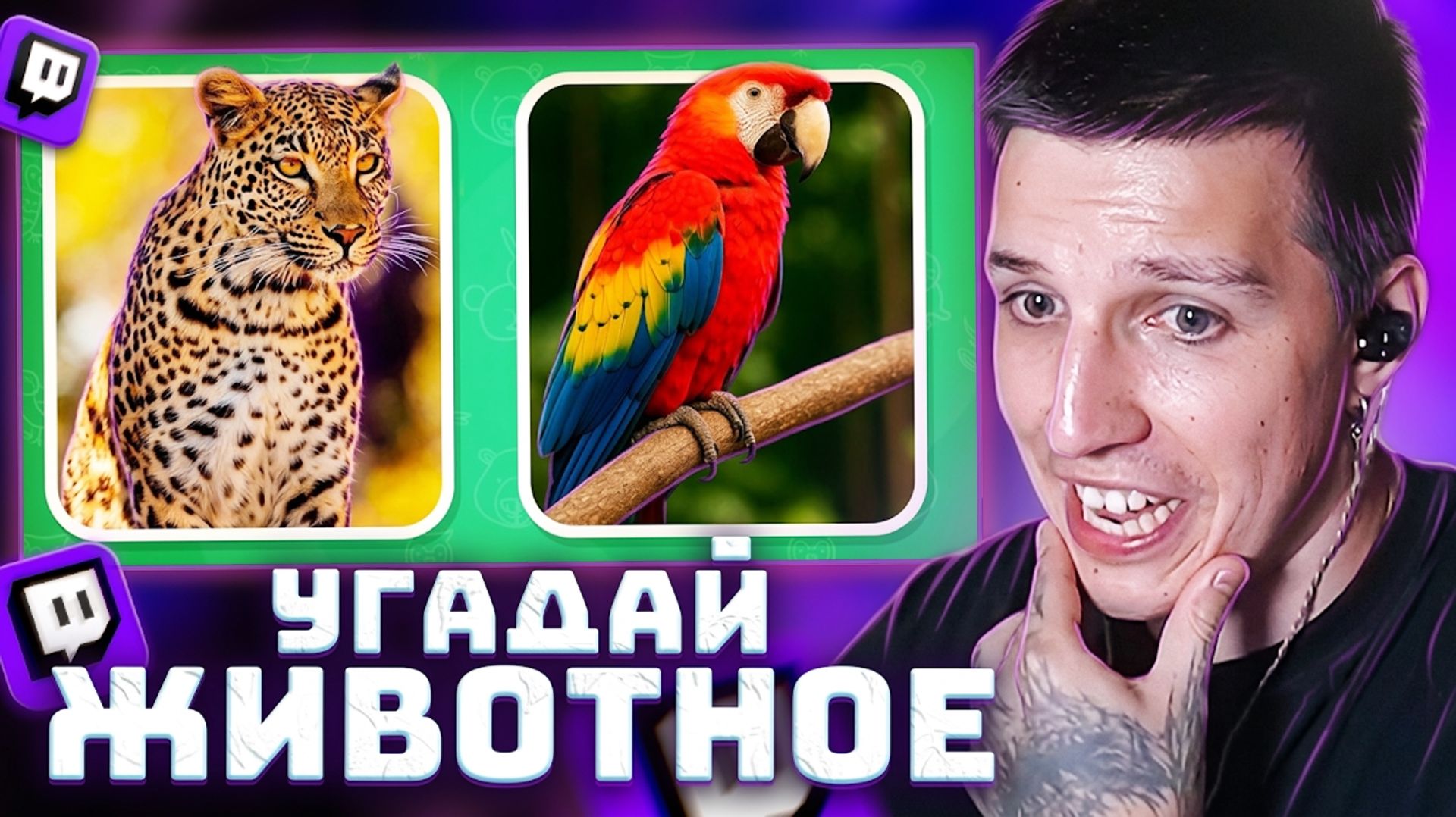 УГАДАЙ 40 ЖИВОТНЫХ ПО ФАКТАМ | РЕАКЦИЯ МАЗЕЛЛОВА