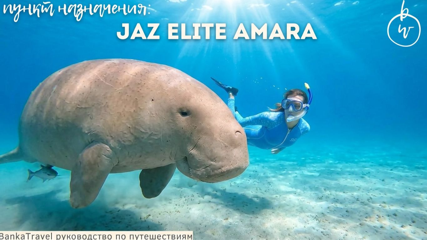Дюгони и черепахи у отеля! Марса-Алам — JAZ Elite Amara. Обзор отеля