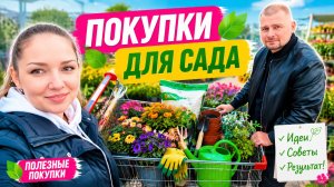 ВЛОГ! Махинации риелтора! Купили стеллаж