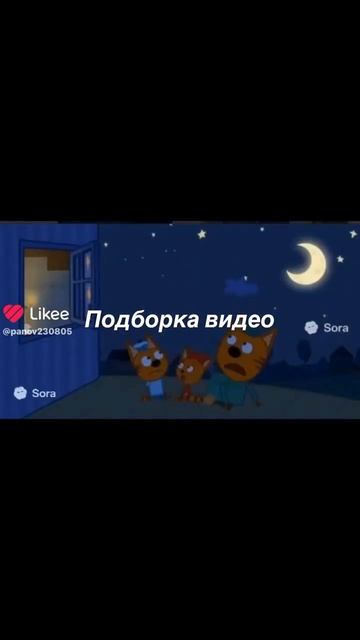 1000011849.mp4