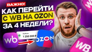 Как перейти с WB на Ozon? Пошаговый алгоритм действий: карточка, логистика, юнитка, продвижение