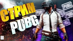 пабг ежедневные задний