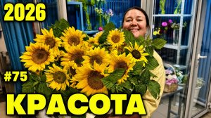 🌷Неделя флориста #75 - Свадебные букеты, георгины, подсолнухи и оформление ЖК