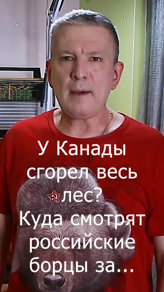 У Канады сгорел весь лес? Куда смотрят российские борцы за природу, мать нашу?
