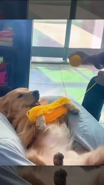 VID_20260808_142413_615.mp4
